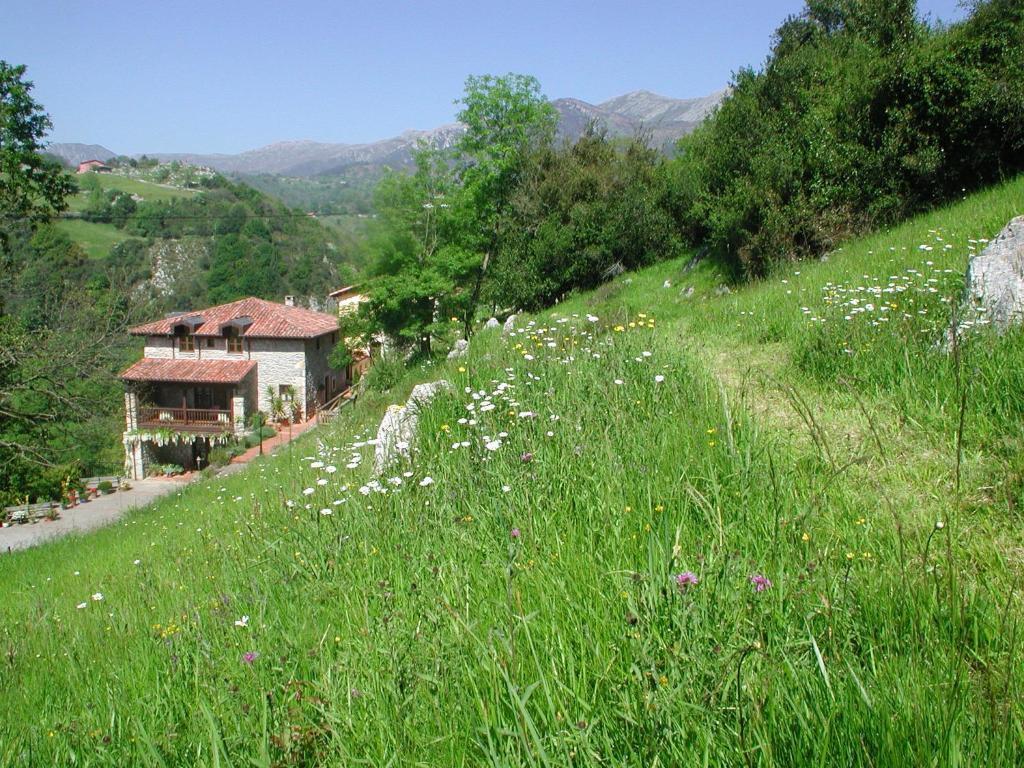 Hotel Posada Del Valle Collía Εξωτερικό φωτογραφία